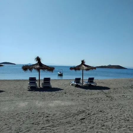 Brisas De Puerto *